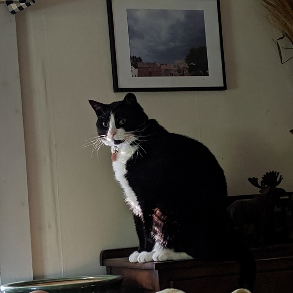 Meet the posher - Picture 2 of 7